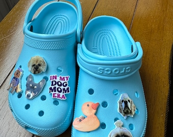 Hole-y Shoe Charms - Customized charms for your favorite shoe with holes like Crocs, jibbitz