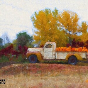 May include: A vintage white pickup truck with a wooden bed is loaded with orange pumpkins. The truck is parked in a field with fall foliage in the background.