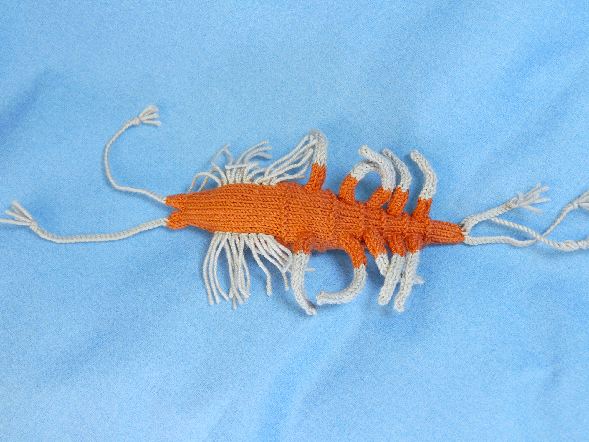 Krill Sewing Pattern Shrimp / Krill Napoleon, Knitting Pattern - Etsy