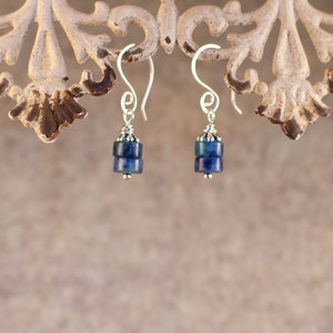 Puede incluir: Un par de pendientes hechos a mano con dos cuentas cilíndricas de color azul oscuro apiladas. Las cuentas están conectadas por metal plateado con detalles decorativos. Los pendientes cuelgan de ganchos plateados, mostrando un diseño simple pero elegante.