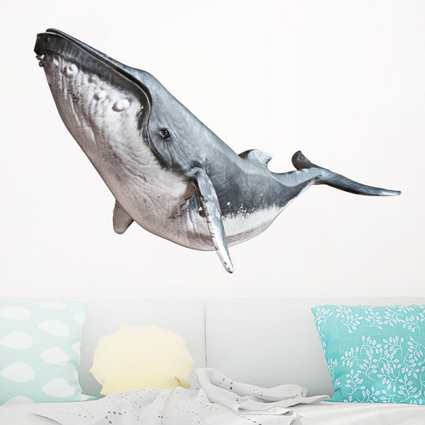 Whale Wall Decal Etsy