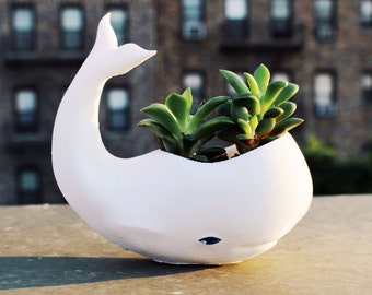 Whale Planter, Mother’s Day Gift, whale Decor, whale planter pot, Air Plant Holder, Plant Mom, Whale, Birthday Gift, animal planter