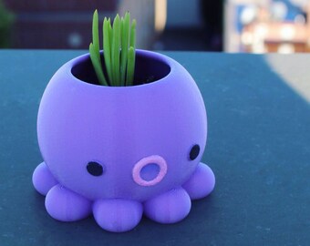 Octopus Planter, Animal Planter, Office Decor, Desk Decor, Plant dad, woman gifts, Home Decor, Succulents, Air-plants