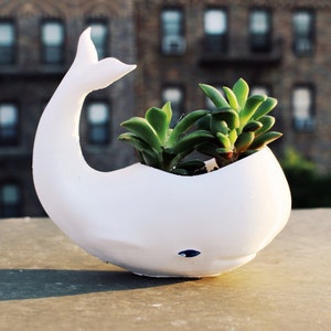 Whale Planter, Mothers Day Gift, whale Decor, whale planter pot, Air Plant Holder, Plant Mom, Whale, Birthday Gift, animal planter image 1
