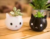 Cat lover gift, Cat Planter, Valentine 39 s Day Gift, animal planter, Cat Gift, black cat, Kitty, cat, cat lover, Kitty Gift