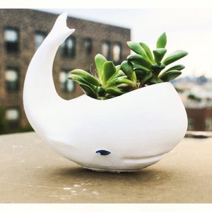 Whale Planter, Mothers Day Gift, whale Decor, whale planter pot, Air Plant Holder, Plant Mom, Whale, Birthday Gift, animal planter image 5