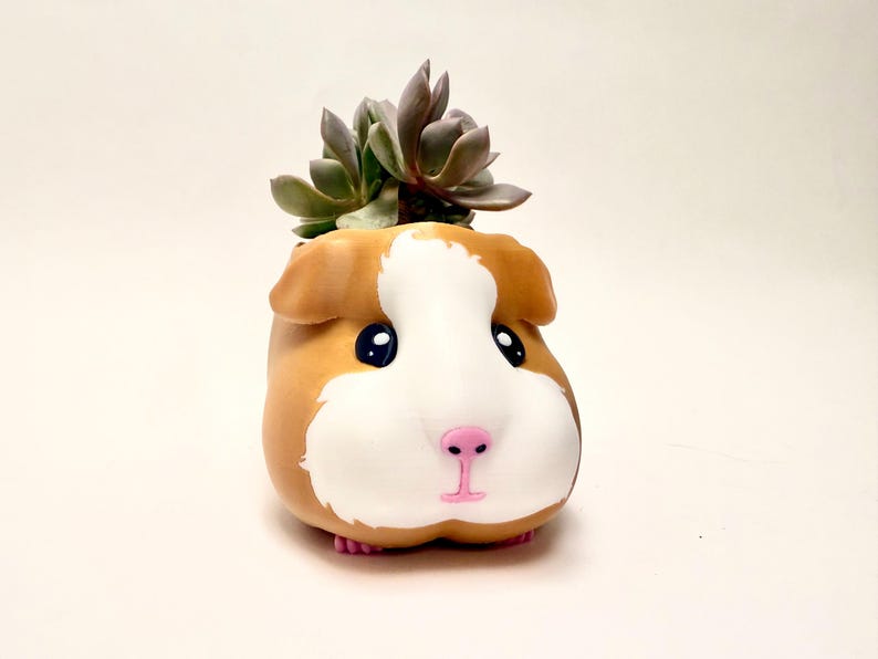 Cute guinea pig planter for succulents or cactus, small animal lover gift and whimsical desk or home decor.