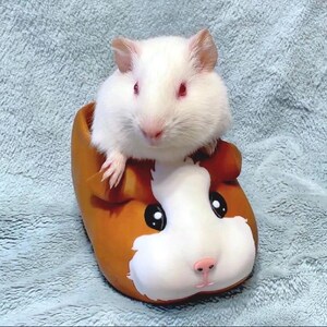 Guinea Pig Planter – Cute Animal Succulent Pot, Gift for Pet Lovers, Pet Memorial & Pet Loss Gift image 7