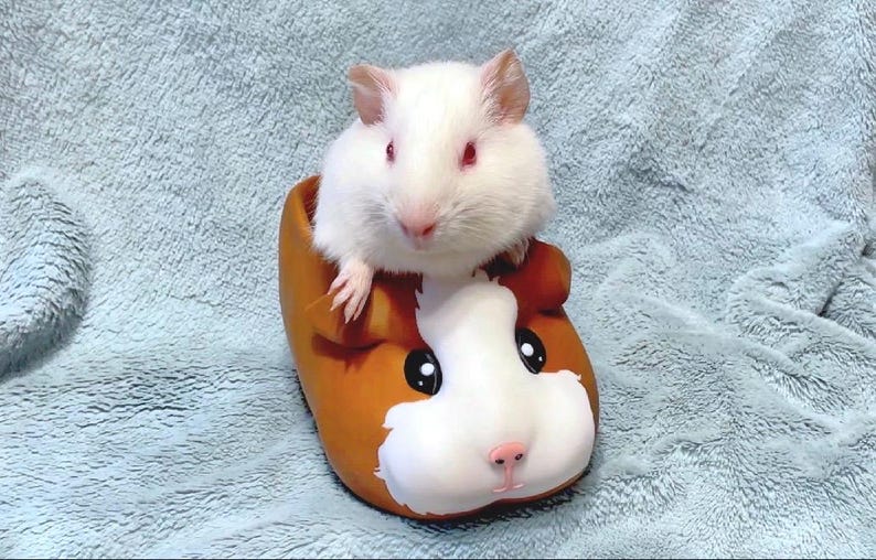 Guinea Pig Planter – Cute Animal Succulent Pot, Gift for Pet Lovers, Pet Memorial & Pet Loss Gift image 7