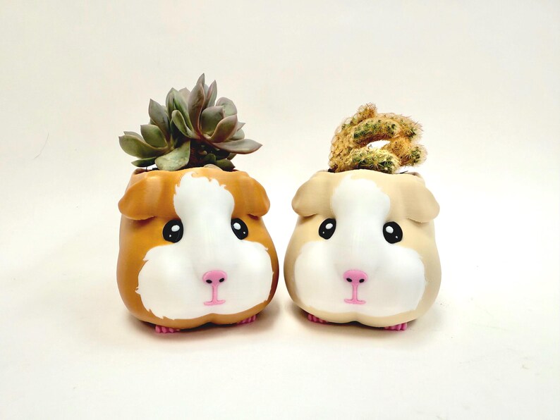 Adorable guinea pig-shaped planter in brown and cream, holding succulents and cactus. Fun pet-inspired home decor for animal lovers.