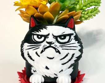 Angry Cat Planter – Funny Father days gift, Grumpy Cat Succulent Planter, Unique Gift for Cat Lovers, Cute Animal Planter, Desk Decor