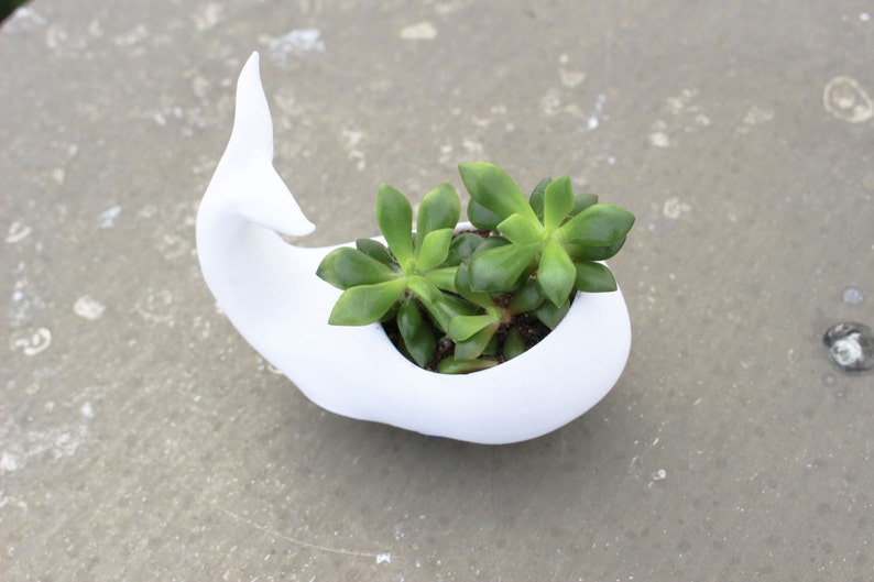 Whale Planter, Mothers Day Gift, whale Decor, whale planter pot, Air Plant Holder, Plant Mom, Whale, Birthday Gift, animal planter image 4