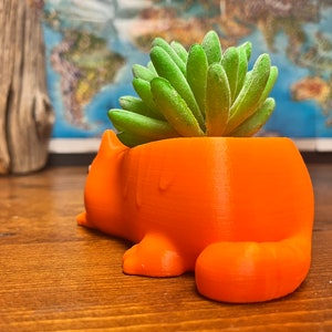 以下が含まれることがあります： オレンジ色の猫の形をしたプランターに、緑色の多肉植物が入っています