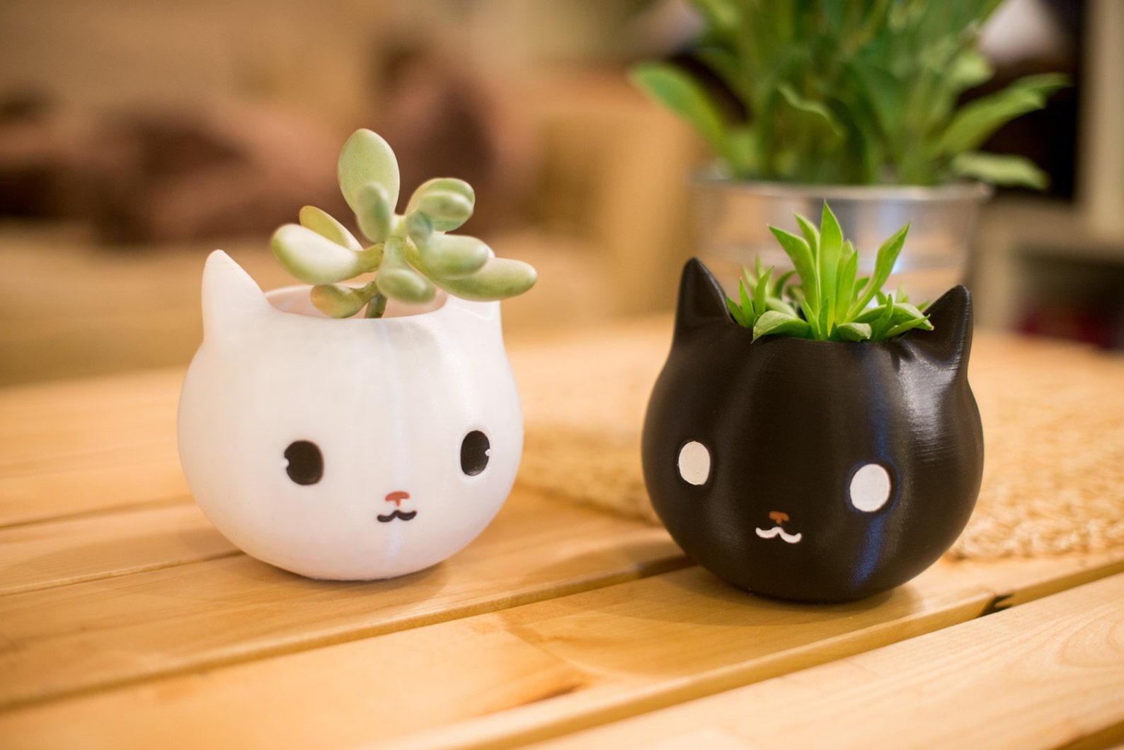 Cute Cat Face Planters