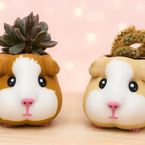 May include: Two guinea pig-shaped plant pots, one brown and white, the other tan and white, each containing a succulent or cactus. The pots have black eyes, pink noses, and small pink feet. The background is a soft pink with bokeh lights.
