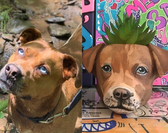 May include: A brown dog with blue eyes is painted on a planter. The planter is decorated with a green succulent plant. The planter is on a colorful background.