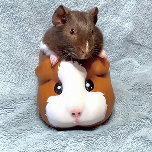 Guinea Pig Planter – Cute Animal Succulent Pot, Gift for Pet Lovers, Pet Memorial & Pet Loss Gift image 6