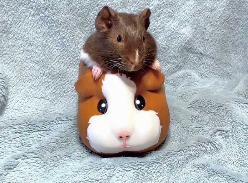 Guinea Pig Planter – Cute Animal Succulent Pot, Gift for Pet Lovers, Pet Memorial & Pet Loss Gift image 6