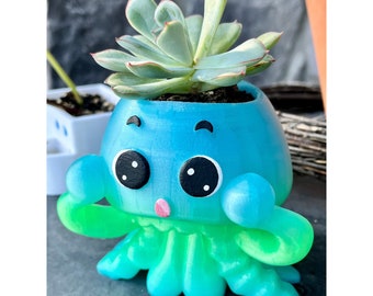 Jellyfish Air Plant Planter: Modern Ocean Decor