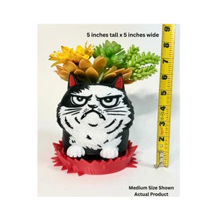 Angry Cat Planter – Funny Cat Plant Pot, Grumpy Cat Succulent Planter, Unique Gift for Cat Lovers, Cute Animal Planter, Desk Decor