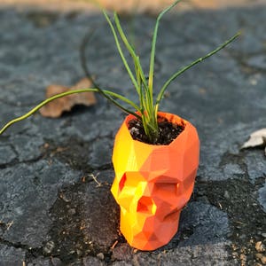 Puede incluir: Una pequeña planta con largas hojas verdes creciendo en una maceta en forma de calavera geométrica de color naranja brillante. La maceta está hecha de un material texturizado y tiene un diseño de calavera detallado.
