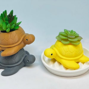 Turtle Planter, Sea Turtle Planter, turtle planter pot, Turtle Lover, Succulent, Birthday Gift, office decor, Ocean, Cubicle Decor