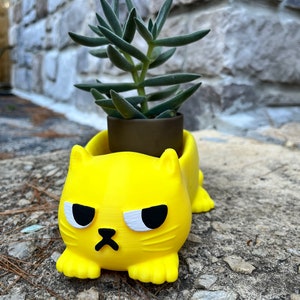 以下が含まれることがあります： 怒った表情をした黄色い猫の形をしたプランターに、小さな緑色の多肉植物が入っています。
