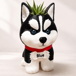 Op de afbeelding: Een zwart-witte husky hondenplantenbak met helderblauwe ogen, puntige oren en een rode halsband met een wit botvormig label waarop de tekst Blue in het zwart is gedrukt. Een kleine groene vetplant groeit uit de bovenkant van de kop van de hond.