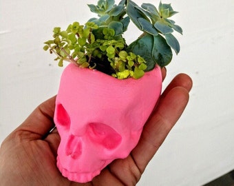 Skull Planter, Halloween Decor, skull decor, gothic home decor, succulent planter, skull, Gothic, punk decor, Rock