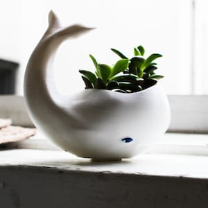Whale Planter, Mothers Day Gift, whale Decor, whale planter pot, Air Plant Holder, Plant Mom, Whale, Birthday Gift, animal planter image 3