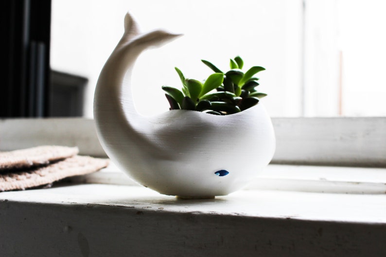 Whale Planter, Mothers Day Gift, whale Decor, whale planter pot, Air Plant Holder, Plant Mom, Whale, Birthday Gift, animal planter image 3