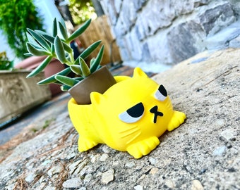 Grumpy Cat Planter: Hand-Painted Funny Desk Organizer