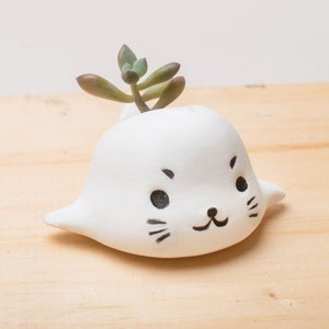 May include: White ceramic planter shaped like a seal with a small succulent plant growing out of the top.