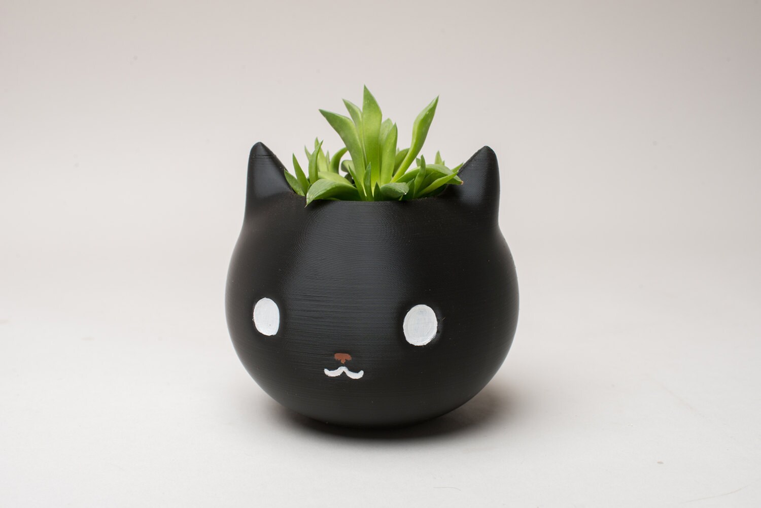 Jardinière Pour Chat - Jolis Pots De Plantes Intérieur Extérieur Pour Succulentes, Cactus Et Fleurs - Décoration Maison Bureau Jardin