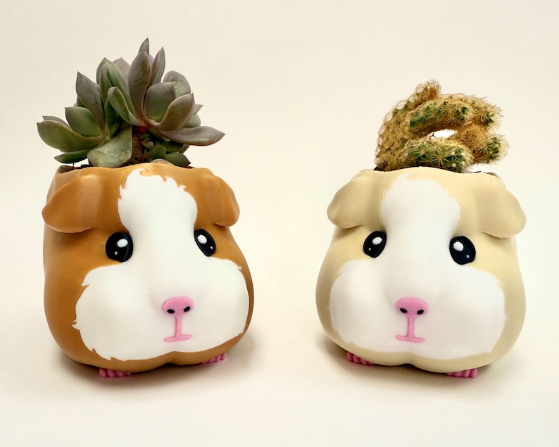May include: Two guinea pig-shaped planters, one brown and white, the other cream and white. Each planter has a succulent or cactus planted in it. The planters have black eyes, pink noses, and pink feet.