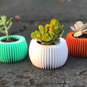 May include: Three 3D printed succulent planters in different colors: green, white, and orange. Each planter has a ribbed design and is filled with soil and a small succulent plant.