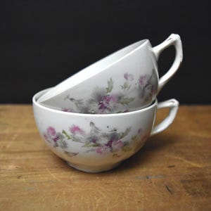 Vintage China Tea Cups: Thistle Design, Succulent Planter Set