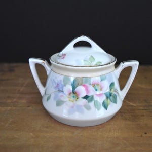 Hand Painted Nippon Sugar Bowl, Hand Painted Sugar Bowl, Vintage Sugar Bowl