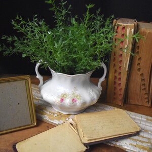 May include: A still life arrangement featuring a white porcelain vase with green foliage, antique books, a gold-framed picture, and an open vintage book. The vase has pink floral accents. The scene is set on a wooden surface.