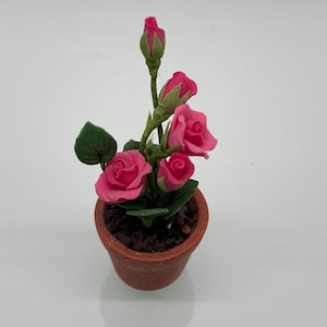 May include: A miniature potted plant with pink roses and green leaves. The flowers are in various stages of bloom, with some buds still closed. The pot is a small, terracotta-colored container.