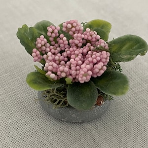 Dollhouse Miniature Flower ~ Plant ~ Garden ~ Decorative Plant ~ Landscape ~ Greenhouse ~ 1:12th Scale ~ Fairy garden ~ Diorama ~ Back Yard