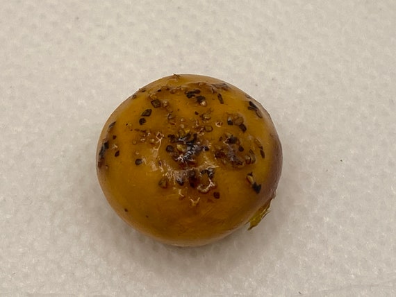 Dollhouse Miniature Multigrain Bread Food Oven Bakery Loaf