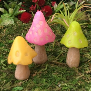 Mushrooms ~ Fairy Garden ~ Fairy House ~ Miniature Garden ~ Secret Garden ~ Gift ~ Gnome Garden ~ Diorama