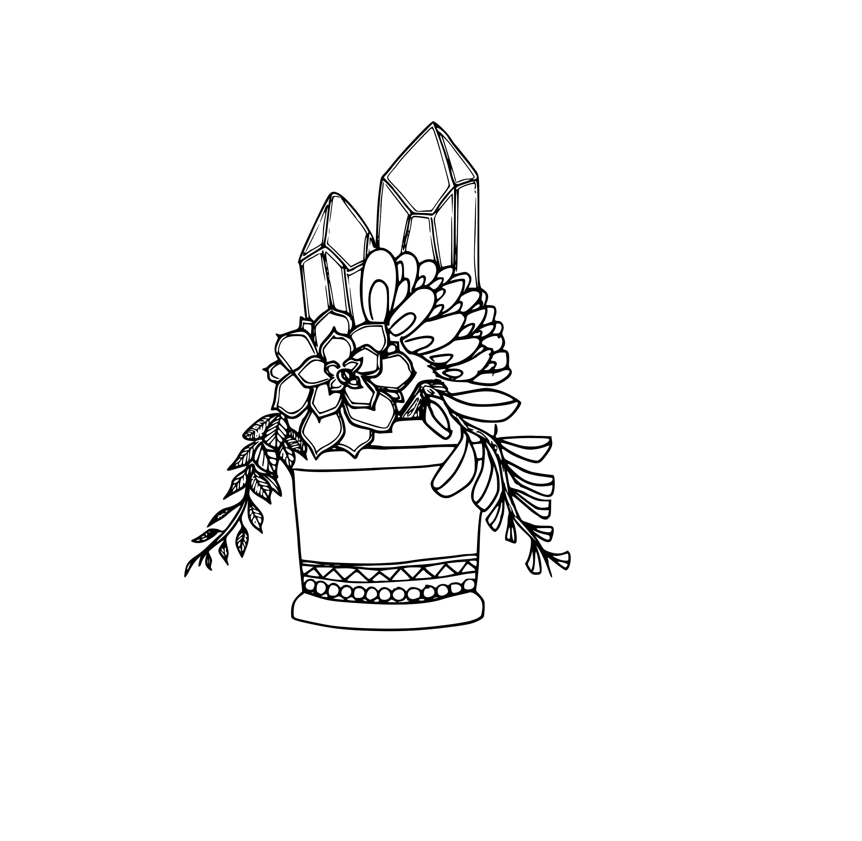 indoor plant with pots Flutini