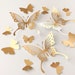see more listings in the Butterflies  section