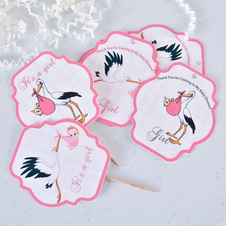Girl Stork Baby Shower Party Supplies Girl Stork Cake Etsy