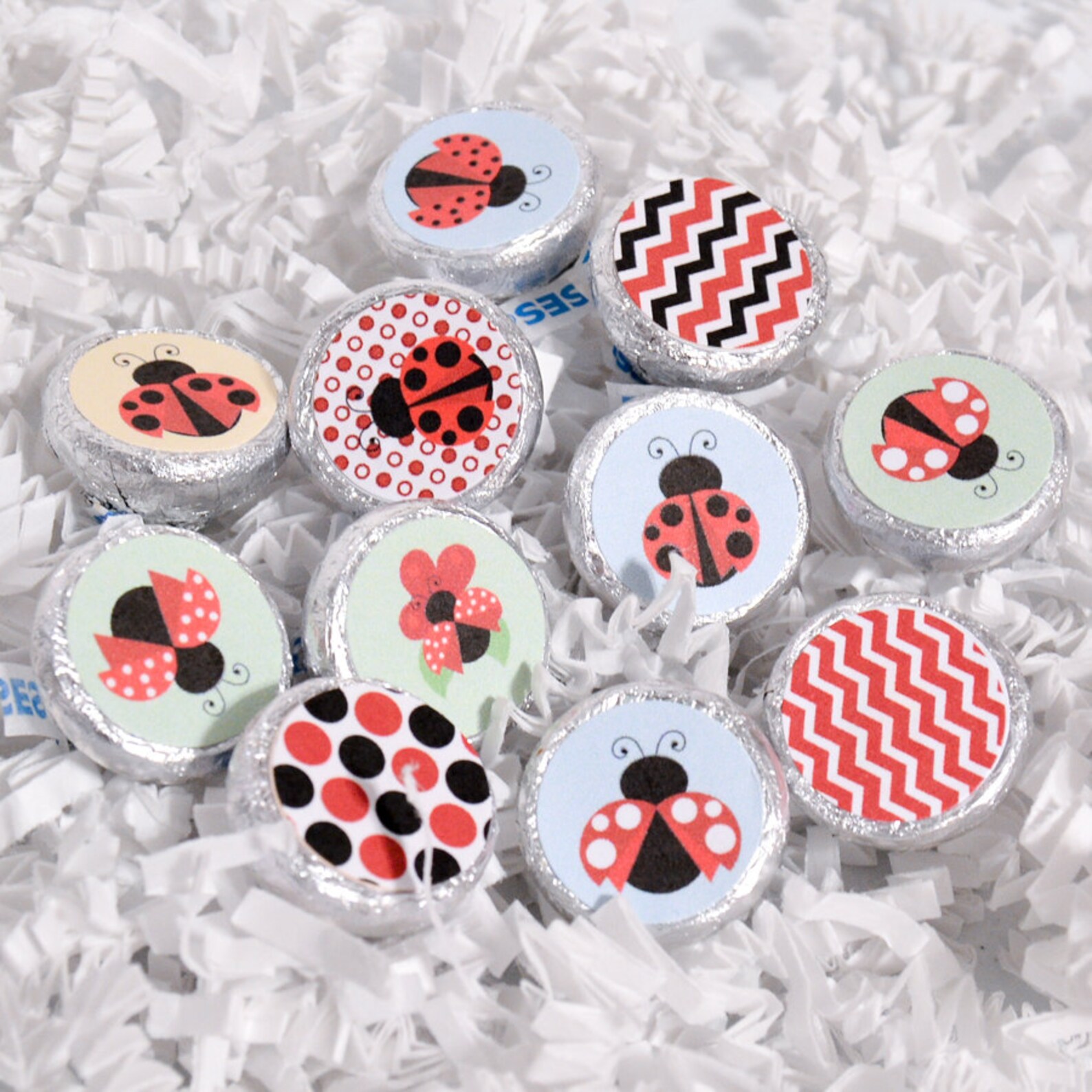 Ladybug Birthday Party Favor Ladybug Party Supplies Ladybug Etsy