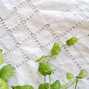 May include: A white textile featuring intricate openwork embroidery with a geometric square pattern. The fabric displays a delicate cutwork design with visible thread detailing throughout the square motifs, accompanied by a green leafy plant.