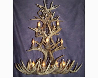 May include: A large antler chandelier with 12 light bulbs. The chandelier is made of natural antlers and has a rustic, lodge-style design.