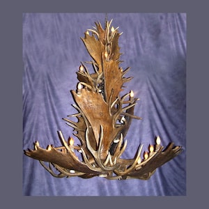 MMDC Real Antler Moose / Mule Deer Cascade Chandelier Light, Rustic